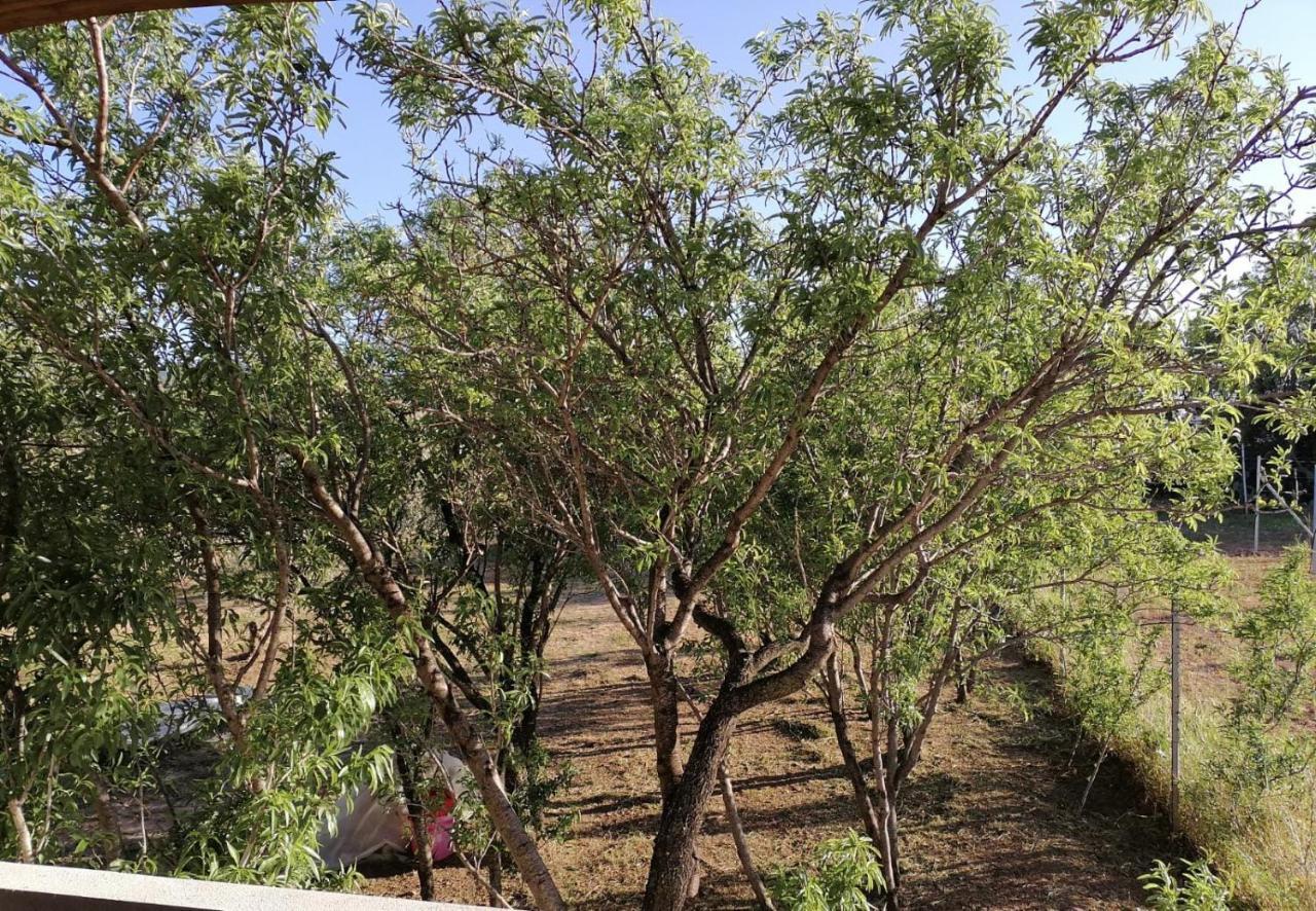 Agriturismo "Pirastreri" Siniscola Luaran gambar